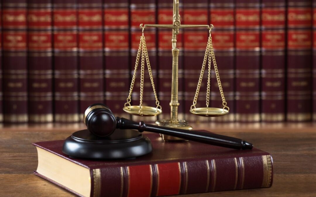 دستور منظمة سيفاوا للبر والتواصل الخيرية